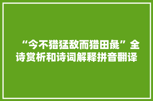 “今不猎猛敌而猎田彘”全诗赏析和诗词解释拼音翻译