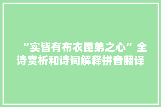 “实皆有布衣昆弟之心”全诗赏析和诗词解释拼音翻译