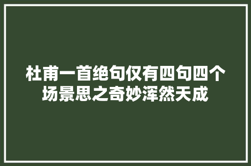 杜甫一首绝句仅有四句四个场景思之奇妙浑然天成