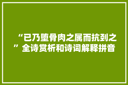 “已乃堕骨肉之属而抗刭之”全诗赏析和诗词解释拼音翻译