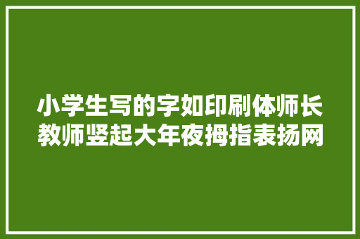 小学生写的字如印刷体师长教师竖起大年夜拇指表扬网友是小我才