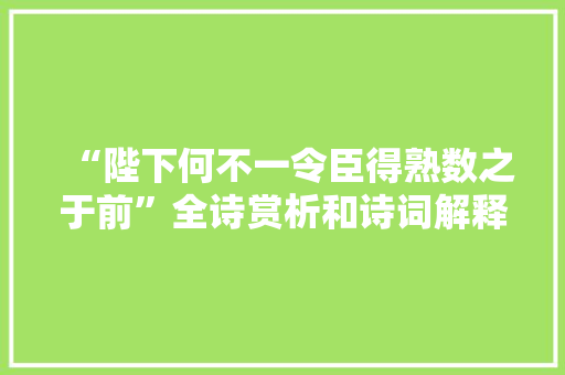 “陛下何不一令臣得熟数之于前”全诗赏析和诗词解释拼音翻译
