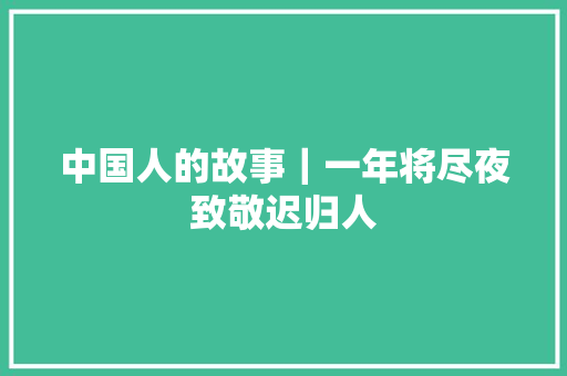 中国人的故事｜一年将尽夜致敬迟归人