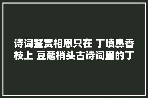 诗词鉴赏相思只在 丁喷鼻香枝上 豆蔻梢头古诗词里的丁喷鼻香花