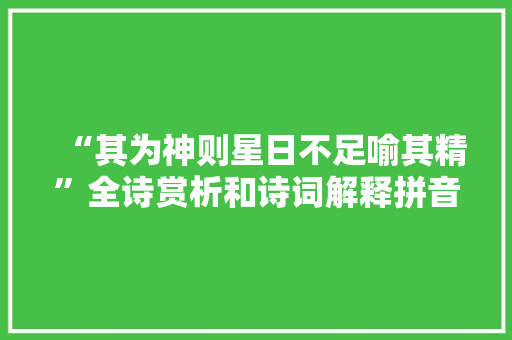 “其为神则星日不足喻其精”全诗赏析和诗词解释拼音翻译