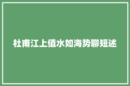 杜甫江上值水如海势聊短述