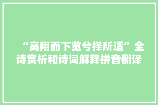 “高翔而下览兮择所适”全诗赏析和诗词解释拼音翻译