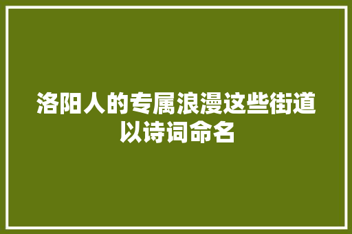 洛阳人的专属浪漫这些街道以诗词命名