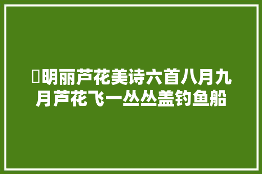 ​明丽芦花美诗六首八月九月芦花飞一丛丛盖钓鱼船