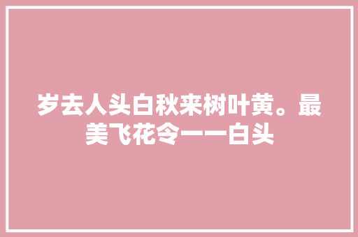 岁去人头白秋来树叶黄。最美飞花令一一白头