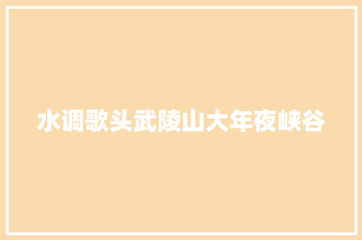 水调歌头武陵山大年夜峡谷
