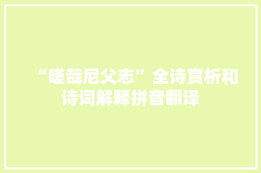 “嗟哉尼父志”全诗赏析和诗词解释拼音翻译