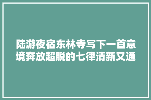 陆游夜宿东林寺写下一首意境奔放超脱的七律清新又通亮