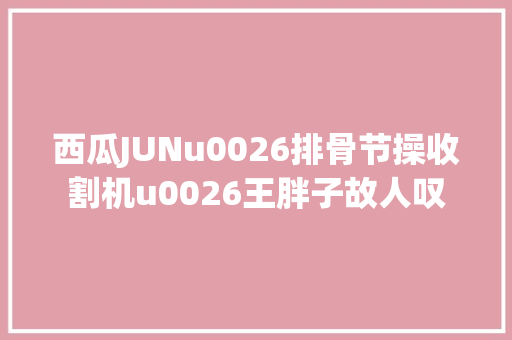 西瓜JUNu0026排骨节操收割机u0026王胖子故人叹