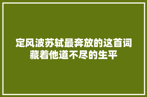 定风波苏轼最奔放的这首词藏着他道不尽的生平