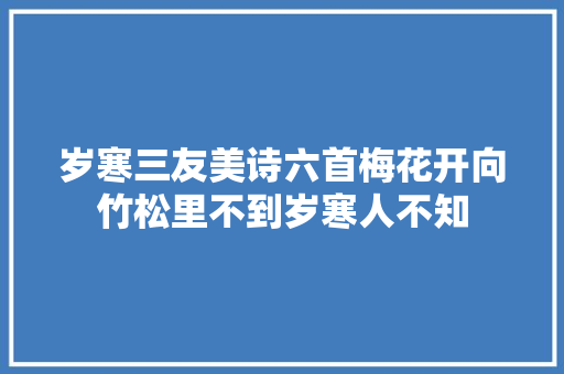 岁寒三友美诗六首梅花开向竹松里不到岁寒人不知