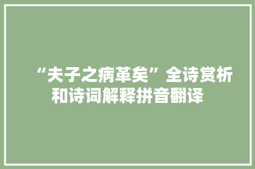 “夫子之病革矣”全诗赏析和诗词解释拼音翻译