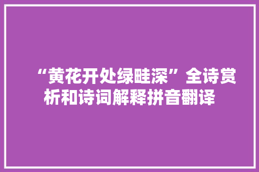 “黄花开处绿畦深”全诗赏析和诗词解释拼音翻译
