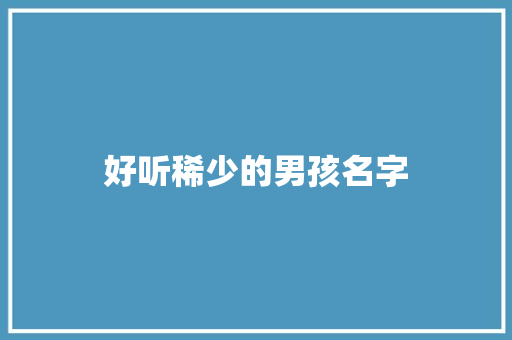 好听稀少的男孩名字