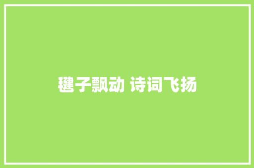 毽子飘动 诗词飞扬