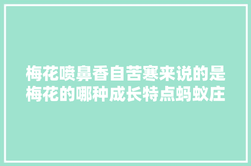 梅花喷鼻香自苦寒来说的是梅花的哪种成长特点蚂蚁庄园1126今日谜底