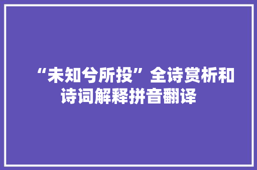“未知兮所投”全诗赏析和诗词解释拼音翻译