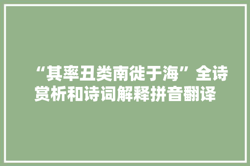 “其率丑类南徙于海”全诗赏析和诗词解释拼音翻译