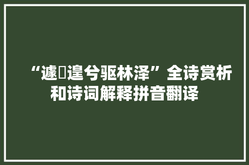 “遽傽遑兮驱林泽”全诗赏析和诗词解释拼音翻译