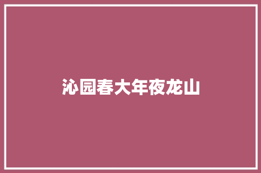 沁园春大年夜龙山