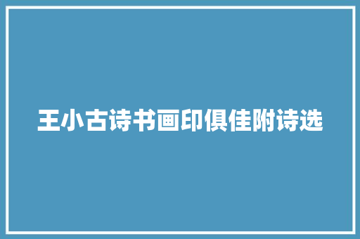 王小古诗书画印俱佳附诗选