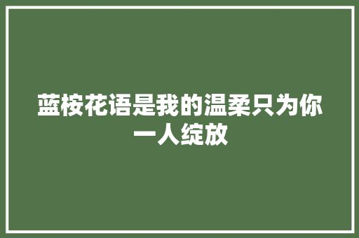 蓝桉花语是我的温柔只为你一人绽放