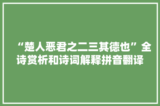 “楚人恶君之二三其德也”全诗赏析和诗词解释拼音翻译