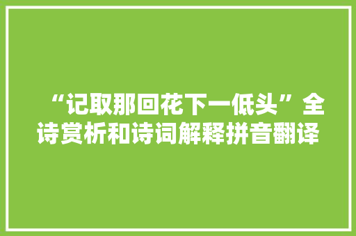 “记取那回花下一低头”全诗赏析和诗词解释拼音翻译
