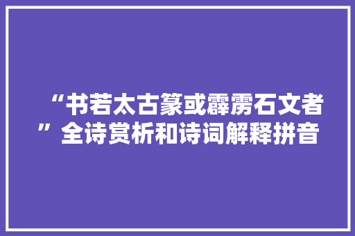 “书若太古篆或霹雳石文者”全诗赏析和诗词解释拼音翻译