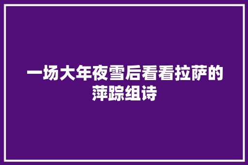 一场大年夜雪后看看拉萨的萍踪组诗