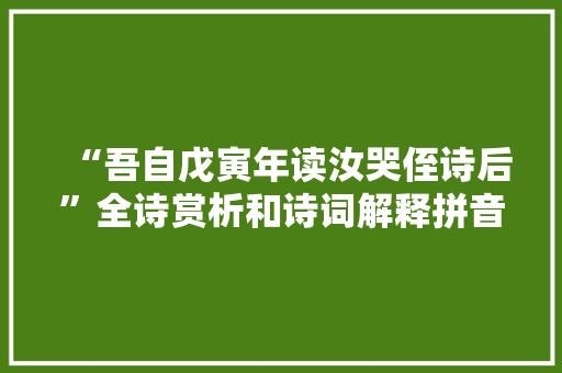 “吾自戊寅年读汝哭侄诗后”全诗赏析和诗词解释拼音翻译