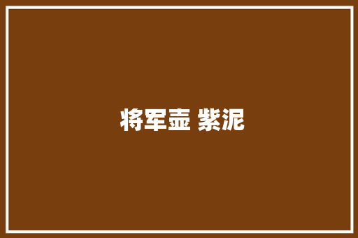 将军壶 紫泥