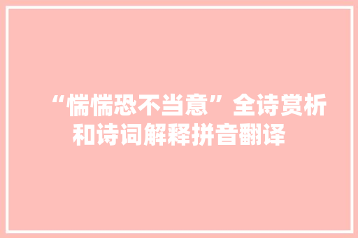 “惴惴恐不当意”全诗赏析和诗词解释拼音翻译