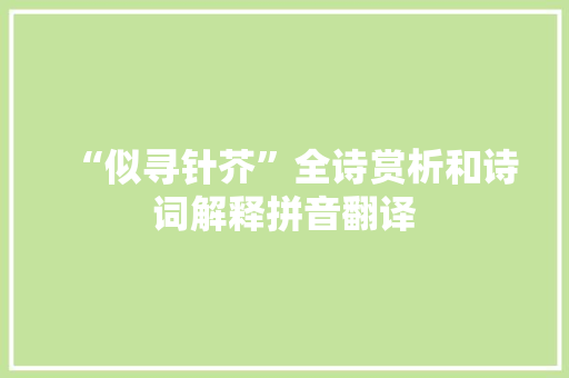 “似寻针芥”全诗赏析和诗词解释拼音翻译