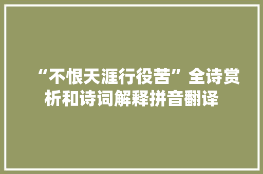 “不恨天涯行役苦”全诗赏析和诗词解释拼音翻译