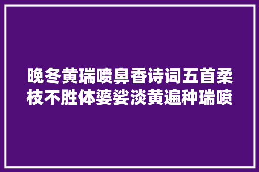 晚冬黄瑞喷鼻香诗词五首柔枝不胜体婆娑淡黄遍种瑞喷鼻香花