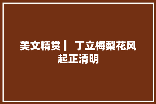 美文精赏 ▎丁立梅梨花风起正清明