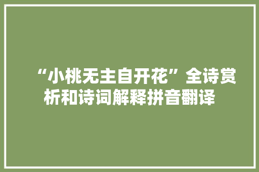 “小桃无主自开花”全诗赏析和诗词解释拼音翻译