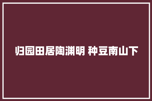 归园田居陶渊明 种豆南山下