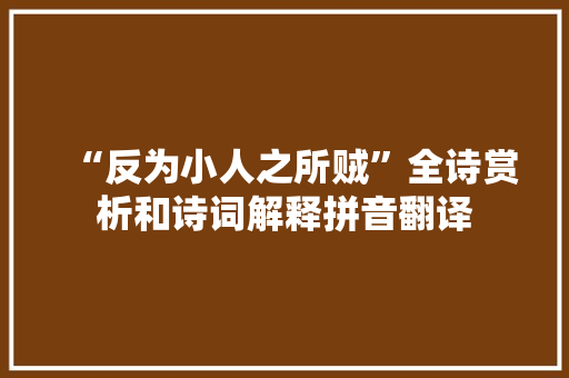 “反为小人之所贼”全诗赏析和诗词解释拼音翻译 “反为小人之所贼”全诗赏析和诗词解释拼音翻译