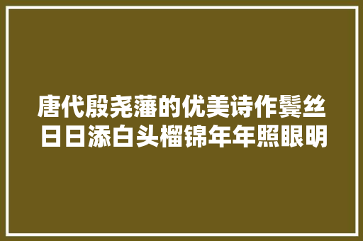 唐代殷尧藩的优美诗作鬓丝日日添白头榴锦年年照眼明。