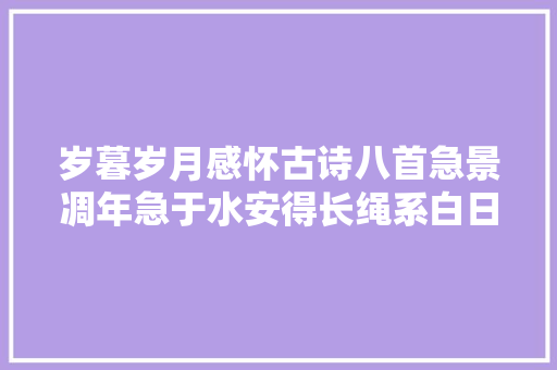 岁暮岁月感怀古诗八首急景凋年急于水安得长绳系白日