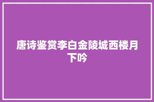 唐诗鉴赏李白金陵城西楼月下吟