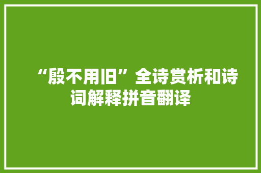 “殷不用旧”全诗赏析和诗词解释拼音翻译
