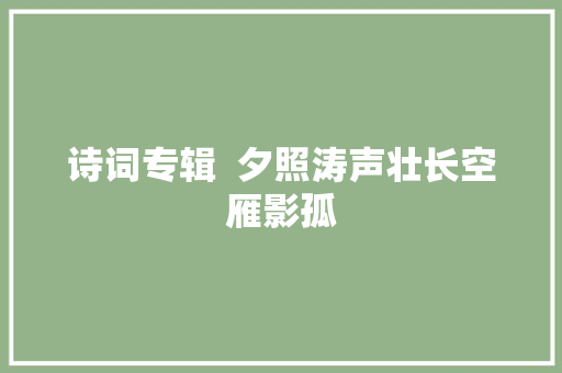 诗词专辑  夕照涛声壮长空雁影孤